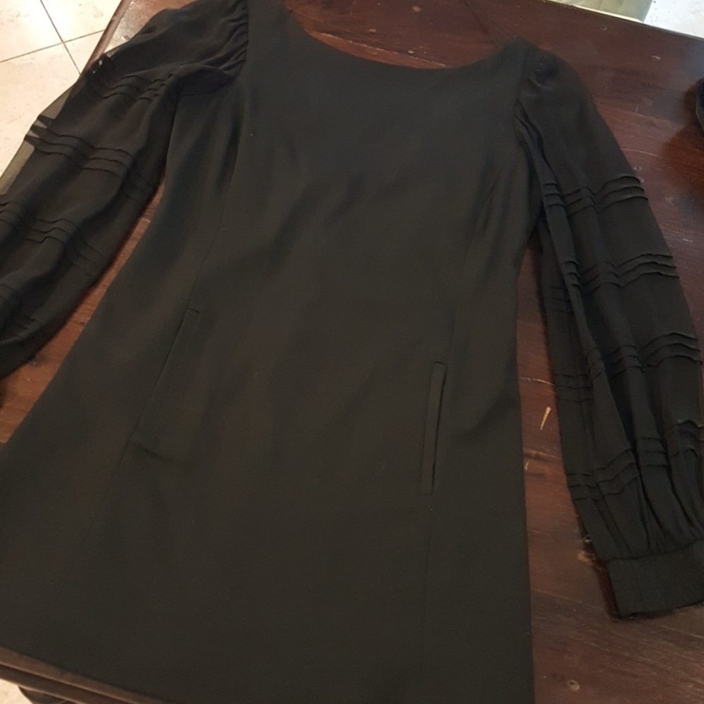 Shift dress with sheer sleeves